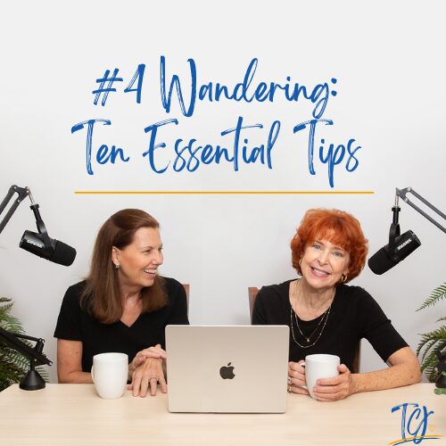 Podcast 4 - Wandering: Tne Essential Tips